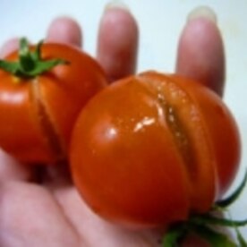 簡単美味しい 二種類のチーズのトマトバジル焼き レシピ 作り方 By うちくるくる 楽天レシピ 簡単美味しい 二種類のチーズのトマトバジル焼き レシピ 作り方 By うちくるくる 楽天レシピ